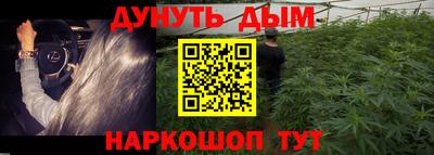 прущие грибы Гусев