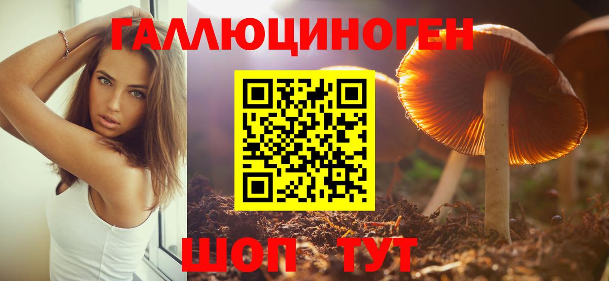 Москва  где купить наркоту  Галлюциногенные грибы ЛСД  Вход с VPN  Псилоцибиновые грибы мицелий 
